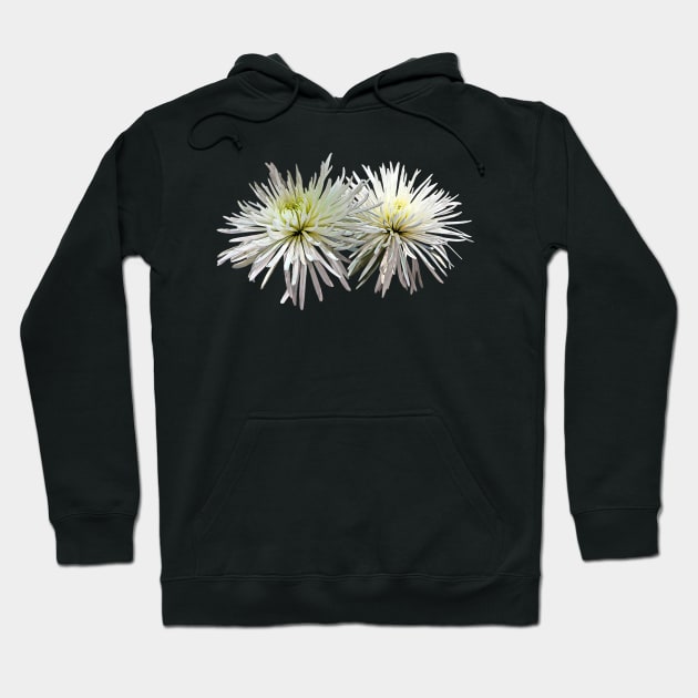 Two White Spider Mums Hoodie by SusanSavad